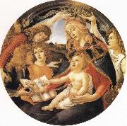 Sandro Botticelli Madonna del Magnificat Spain oil painting artist